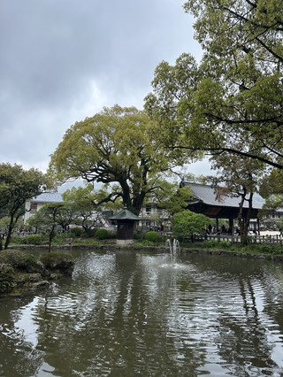 ⛩️ 福岡太宰府漫遊：表參道商店街、百年現烤梅枝餅與巷弄隱藏版手作蕎麥麵
