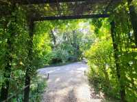 Bucharest Botanical Garden 🌺🌸🌼