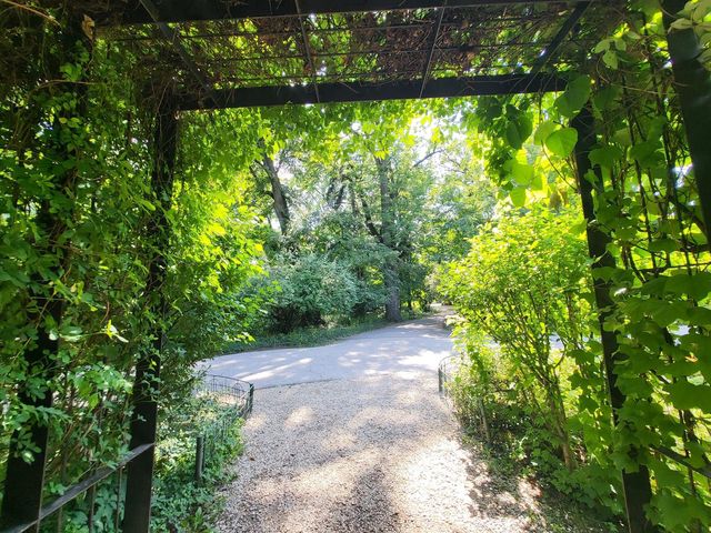 Bucharest Botanical Garden 🌺🌸🌼