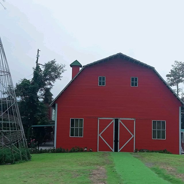 SG Farm South Cotabato