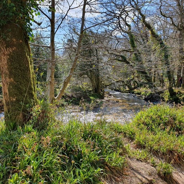 Beautiful Colliford Lake and Golitha Falls