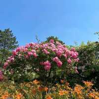 Les Jardins de Giverny