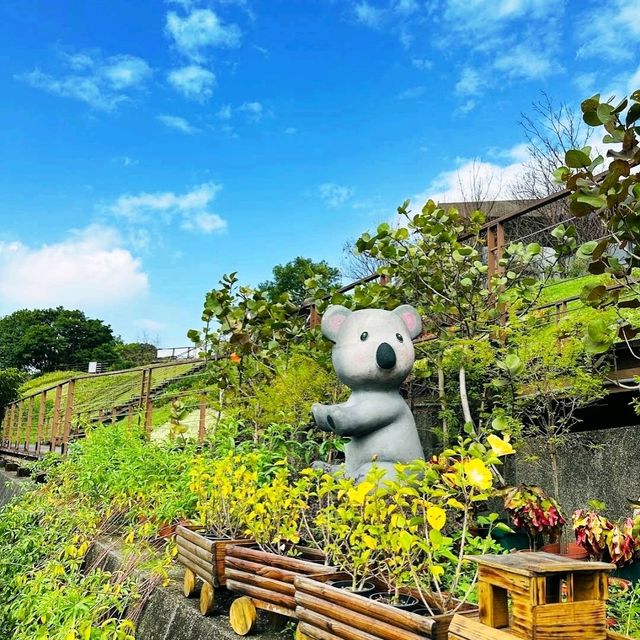 🚡《貓空纜車》坐水晶車廂欣賞超美風景🚠