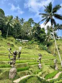 Alas Harum Bali