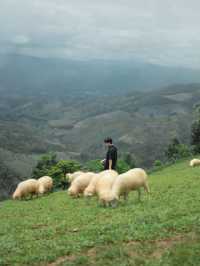 Akha Farmville