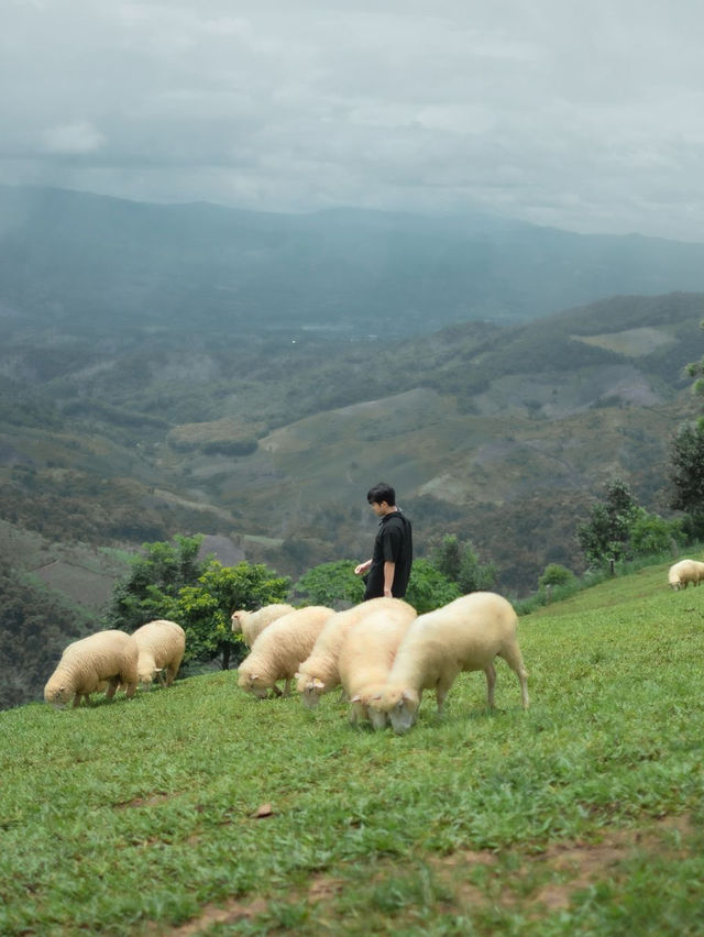 Akha Farmville