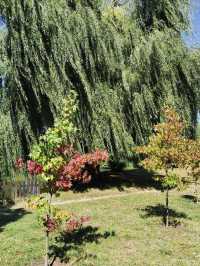 Autumn in Vrana Park 🌳