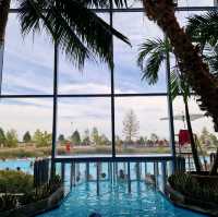 🌴💦 Terme Bucharest: A Day of Relaxation and Fun! 