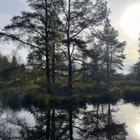 The fellside trail