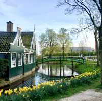 荷蘭🇳🇱令人無法抗拒的打卡景點Zaanse Schans風車村
