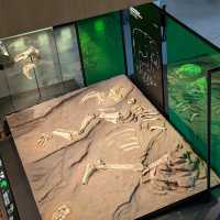 🐾 估唔到係巴塞隆拿都可以見到佢!?CosmoCaixa 科學博物館 🐟