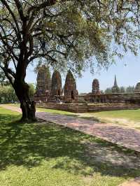 เที่ยวใกล้ กทม. ไปอยุธยา 1 Day trip ฉบับไม่มีรถ
