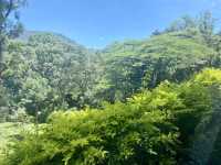 Munnar’s Cloud-Covered Hills 