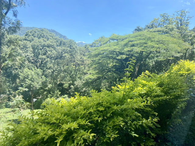 Munnar’s Cloud-Covered Hills 