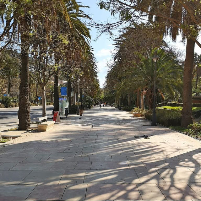 Malaga 🇪🇸