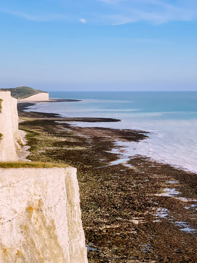 🌟 Explore Brighton and Seven Sisters: A Perfect Day of Seaside Charm and Natural Beauty 🌟