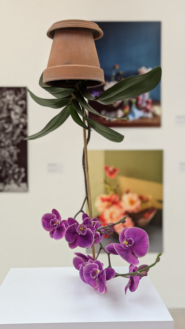 Saatchi Gallery: A Blooming Masterpiece 🌸🎨