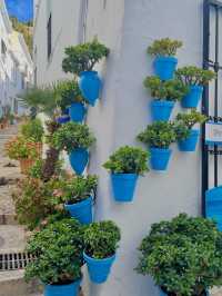 【スペイン🇪🇸】スペインの穴場観光地・Frigilianaでの過ごし方🏘️🌱