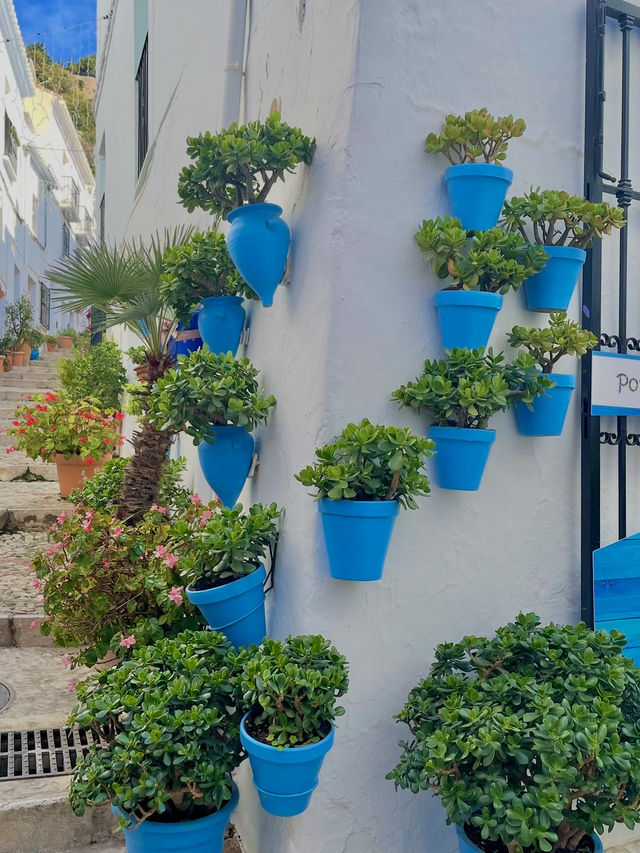 【スペイン🇪🇸】スペインの穴場観光地・Frigilianaでの過ごし方🏘️🌱