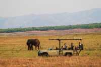 Matusadonha Safari Special –  US$1,220 pps