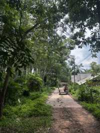 Most beautiful Island in Thailand