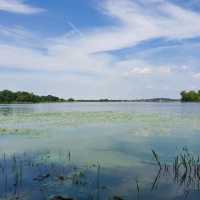 Palaces and Rivers: A Day in Potsdam and Brandenburg an der Havel