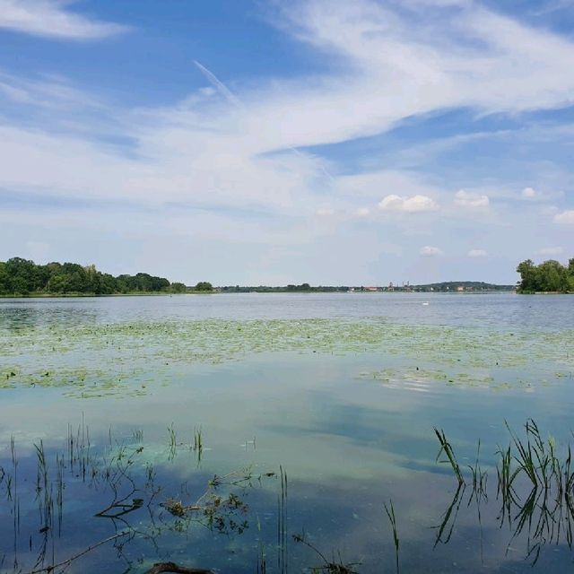 Palaces and Rivers: A Day in Potsdam and Brandenburg an der Havel