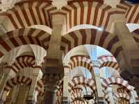 Cordoba, Spain a city with so much to offer. A memorable destination!