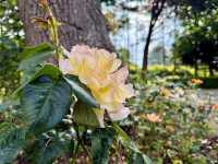 Off the Beaten Path