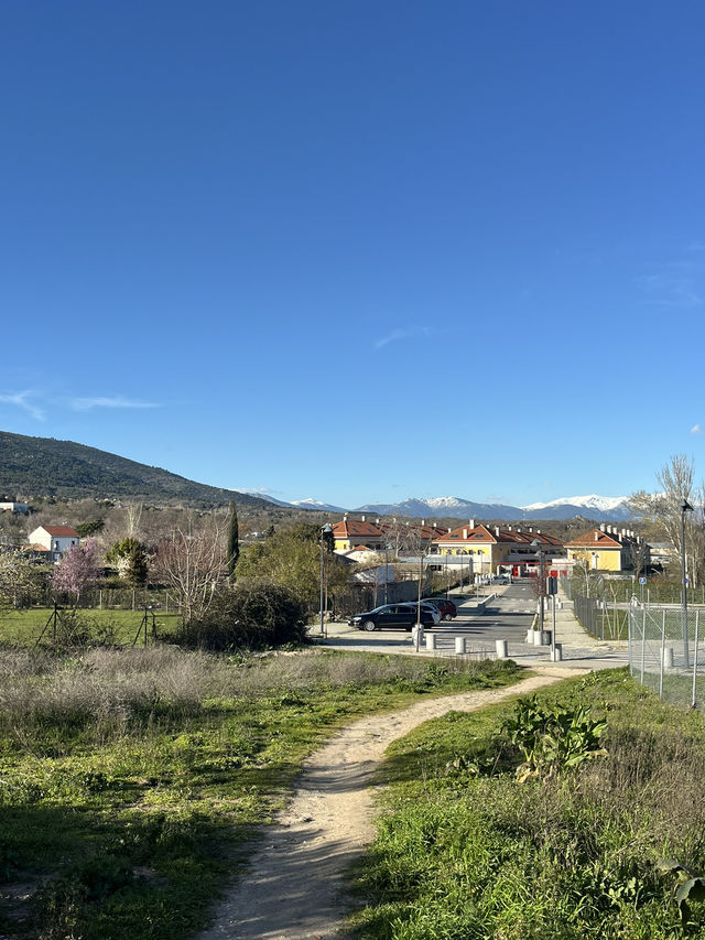 Best of spring in Madrid