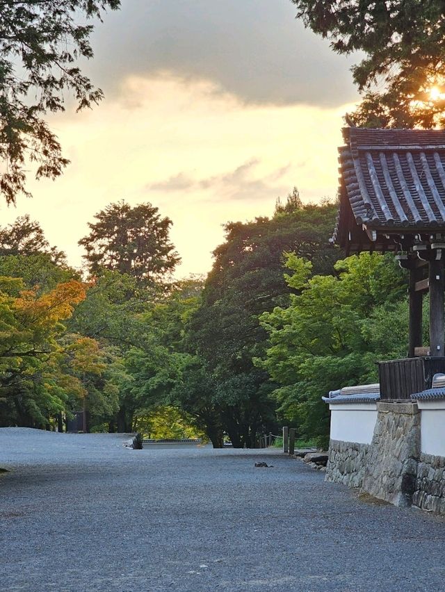 Nanzen-ji Temple: Tranquility Beneath the Mountains