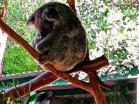 Memorable Sydney CBD outings