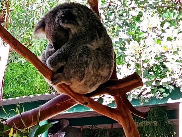 Memorable Sydney CBD outings