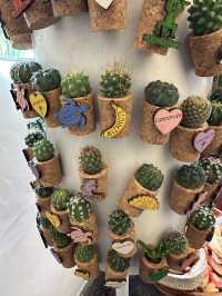The Cactus Garden in Lanzarote: Volcanic Landscapes, Art, and a Restaurant With a View