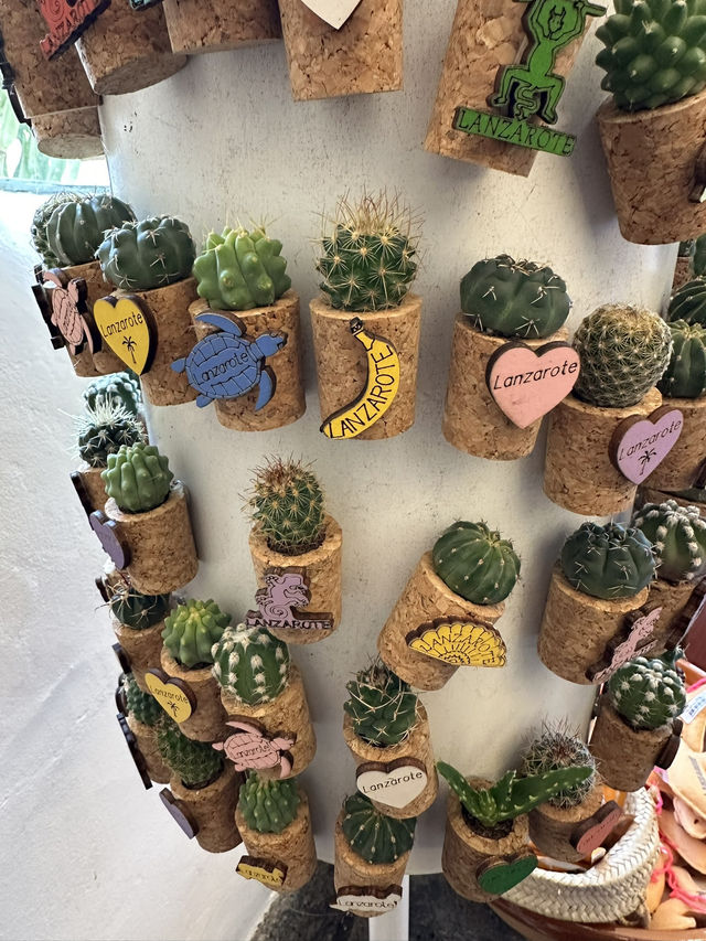 The Cactus Garden in Lanzarote: Volcanic Landscapes, Art, and a Restaurant With a View