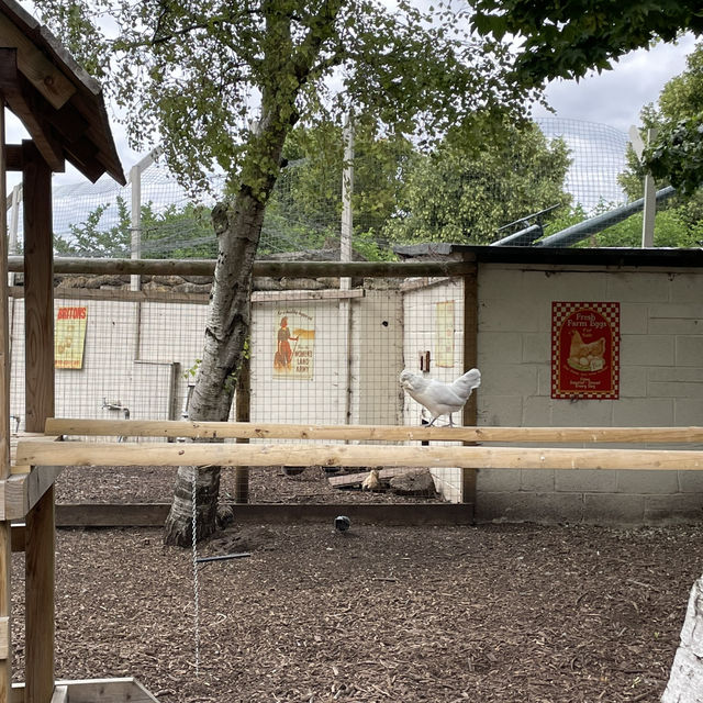 Mudchute Park and Farm: A Slice of Countryside in the City 🐑🦆🐴