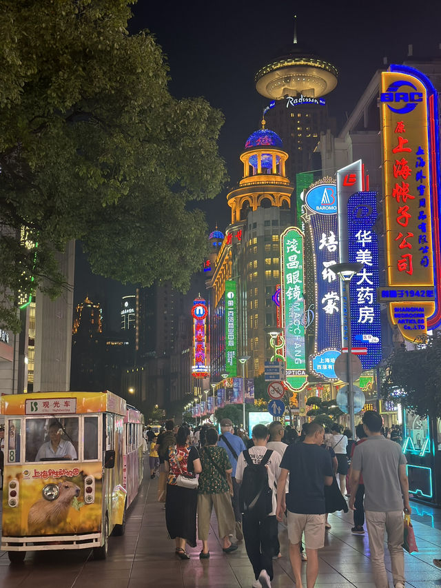 Nanjing Pedestrian Street at Night