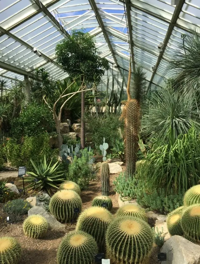 🌿 Kew Gardens: A Green Escape in London