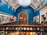 Exeter’s Royal Albert Memorial Museum – A Free Gem to Explore