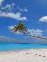 Villa Park (Ex.Sun Island Resort & Spa)
