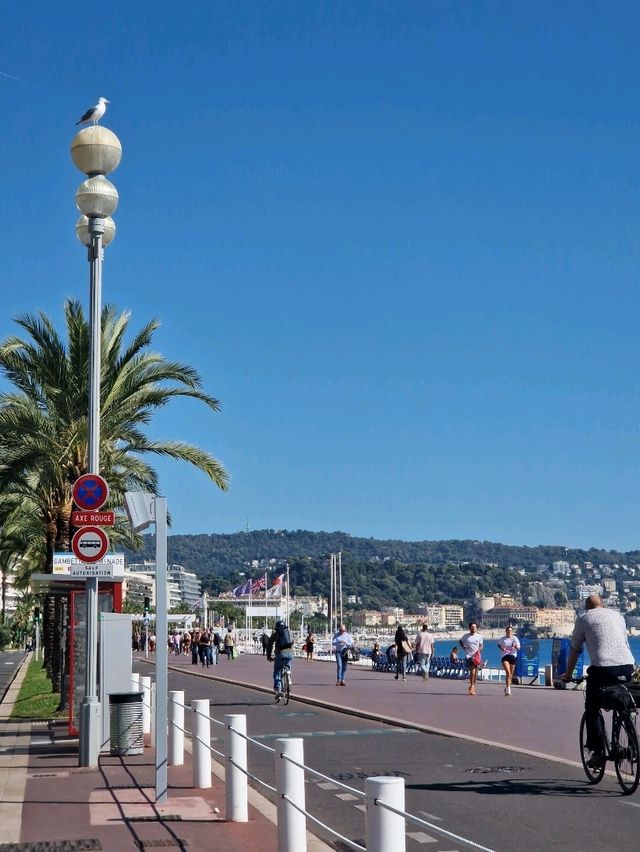 🍂🎃 Why Visit Nice in October — Autumn Charm & Halloween Vibes 🍂🎃 Why Visit Nice in October — Autumn Charm & Halloween Vibes