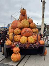 Tokyo DisneySea Magic🎃