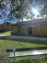 🇫🇮 🍂🍁Suomenlinna might be you next autumn destination