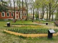 Zielona Góra, Poland: Poland's Northernmost Wine Capital with Over 700 Years of Viticulture