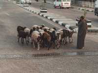 Luxor – The Timeless City of Pharaohs