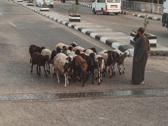 Luxor – The Timeless City of Pharaohs