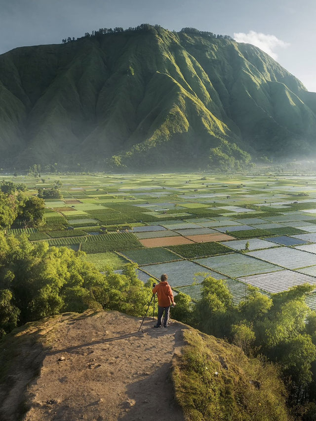 🌴 Lombok: Indonesia's Unspoiled Jewel