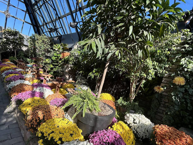 Muttart Conservatory Muttart Conservatory