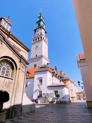 กลีบดอกไม้อันงดงาม: จิตวิญญาณเหนือกาลเวลาของเมืองเชสโตโชวา 🇵🇱