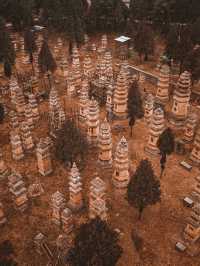 Amazing Pagoda Forest in Shaolin Temple 